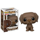 Image for Pets: Labrador Retriever (Chocolate) - Funko
