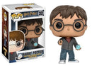 Image for Harry Potter: Harry Potter holding Prophecy - Funko
