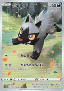 Image for Poochyena (208/172) (S12a: VSTAR Universe) - Pokemon Japan
