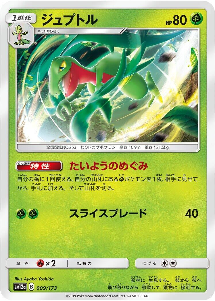 Image for Grovyle (009/173) (SM12a: TAG TEAM GX: Tag All Stars) - Pokemon Japan