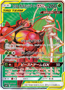 Image for Pheromosa & Buzzwole (055/054) (SM9b: Full Metal Wall) - Pokemon Japan