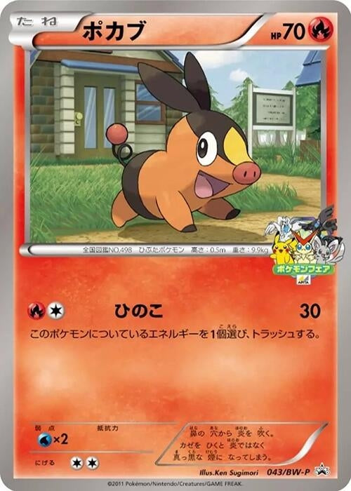 Image for Tepig - 043/BW-P (043/BW-P) (BW-P Promotional cards) - Pokemon Japan