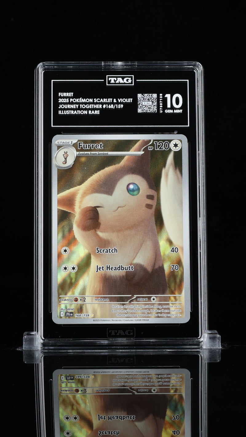 TAG 10 - FURRET 2025 2025 POKÉMON SCARLET & VIOLET